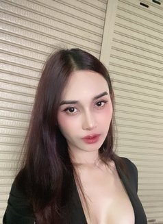 Sueri - Agencia de acompañantes transexuales in Phuket Photo 2 of 11
