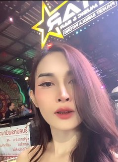 Sueri - Agencia de acompañantes transexuales in Phuket Photo 4 of 11