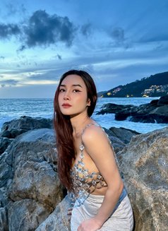 Sueri - Transsexual escort agency in Phuket Photo 11 of 13