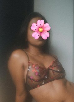 Sugar Babe Chanu - escort in Colombo Photo 4 of 6