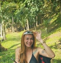 Sugar Baby Kara - Acompañantes transexual in Manila