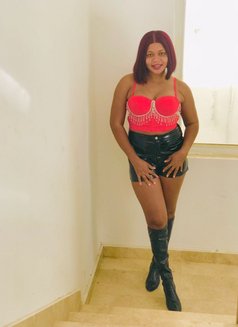 Sugar Berry - escort in Muscat Photo 1 of 1