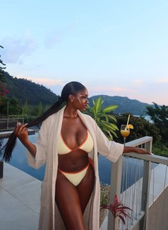 Sugar - escort in Beirut Photo 1 of 1