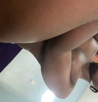 Sugar - Acompañantes transexual in Accra