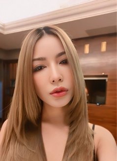 Sugar - companion in Taipei Photo 1 of 9