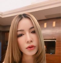 Sugar - companion in Taipei