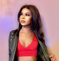 Sugar - Transsexual escort in Kampala