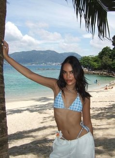 Sugar Versatile in Phuket - Transsexual escort in Phuket Photo 27 of 30