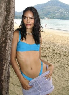 Sugar Versatile in Phuket - Transsexual escort in Phuket Photo 30 of 30