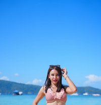 Sugar69 - Transsexual escort in Phuket