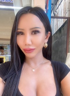 Sugar69 - Transsexual escort in Phuket Photo 4 of 5