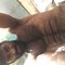 Sujee - Male escort in Ernakulam