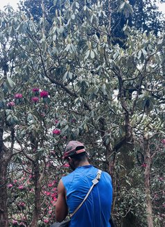 Sujee - Male escort in Kochi Photo 3 of 3