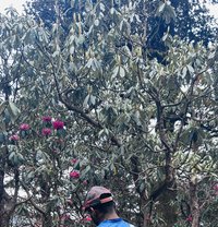 Sujee - Male escort in Kochi