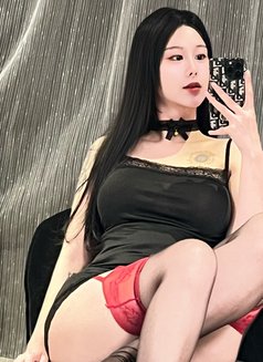 Sujee 🇰🇷 arrive in bangkok - escort in Bangkok Photo 8 of 16