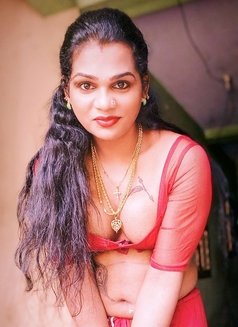 Lovely hot Sujithira Cute Mallu Shemale - Acompañantes transexual in Chennai Photo 1 of 4