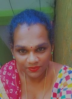 Sujithira - Acompañantes transexual in Chennai Photo 1 of 2