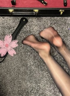 Suju - escort in Bangkok Photo 13 of 15