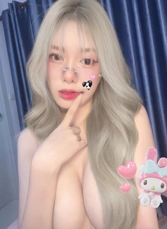 Sulie Full Service Escort Service /Ass - escort in Doha Photo 1 of 8