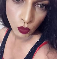 Suman Cress Dresser - Transsexual escort in New Delhi