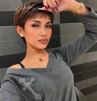 Sumi - Transsexual escort in Manila