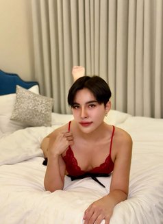 Sunday BIG DICK with good massage 🇹🇭 - Acompañantes transexual in Riyadh Photo 9 of 9