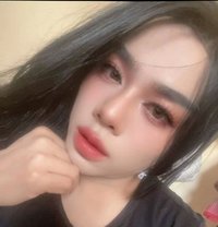 Sunee Lady Boy /Both - Acompañantes transexual in Muscat