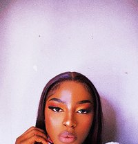 Sunflower 🦄 - Transsexual escort in Nairobi