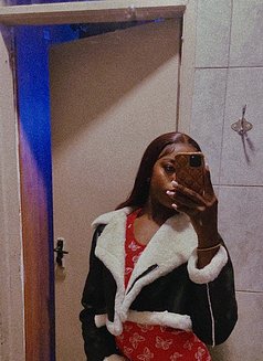 Sunflower 🦄 - Transsexual escort in Nairobi Photo 2 of 7