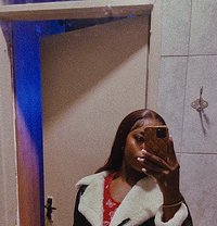 Sunflower 🦄 - Transsexual escort in Nairobi