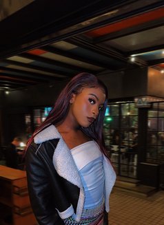 Sunflower 🦄 - Transsexual escort in Nairobi Photo 3 of 7