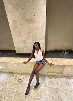 Sunflower 🦄 - Transsexual escort in Nairobi Photo 7 of 7