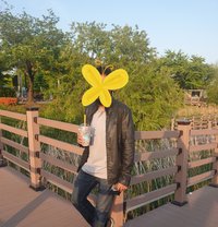 Sub_&_slave_escort_for_Couple_&_Girls - Acompañantes masculino in Seoul