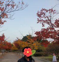Sub_&_slave_escort_for_Couple_&_Girls - Acompañantes masculino in Seoul