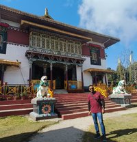 Sunny for mature women - Acompañantes masculino in Kochi