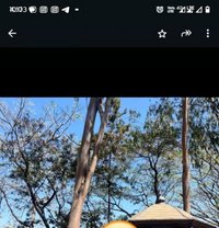 Sunny - Male escort in Nashik