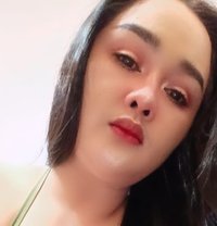 Sunny New Arrivals - escort in Chandigarh