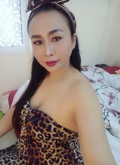 Sunny Professional Massage 🇹🇭🇱🇦VİP - escort in Muscat Photo 11 of 12