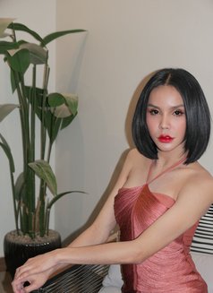 Sunny best services with good attitude - Transsexual escort in Riyadh Photo 5 of 8