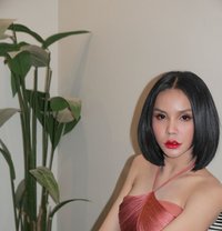 Sunny - Transsexual escort in Riyadh