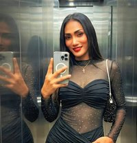 Sunny Top - Transsexual escort in Phuket