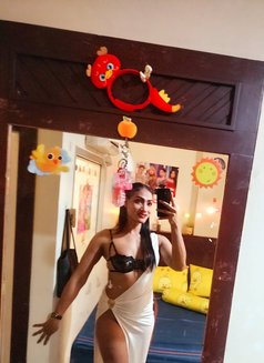 Sunny Top - Transsexual escort in Phuket Photo 3 of 4