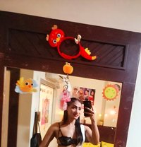 Sunny Top - Transsexual escort in Phuket