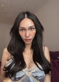 Sunny Ts ๐น๐ญ - Transsexual escort in Sheffield Photo 1 of 3