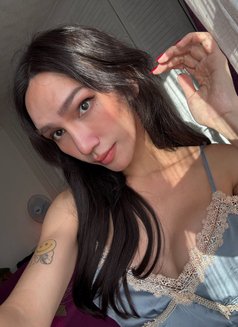 Sunny Ts ๐น๐ญ - Transsexual escort in Sheffield Photo 2 of 3