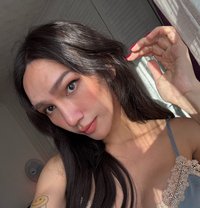 Sunny Ts 🇹🇭 - Transsexual escort in Sheffield