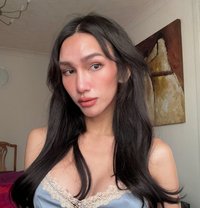Sunny Ts 🇹🇭 - Transsexual escort in Sheffield