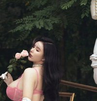 Suno - escort in Yiwu