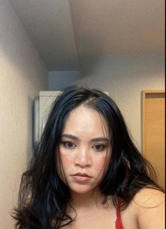 Sunshine - puta in Okinawa Island Photo 12 of 13