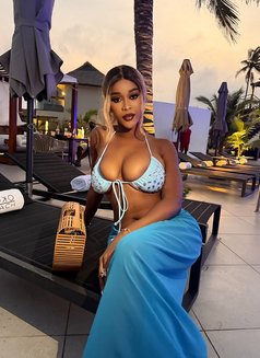 Super Attractive Slim Gorgeous Body Oliv - escort in New Delhi Photo 2 of 2